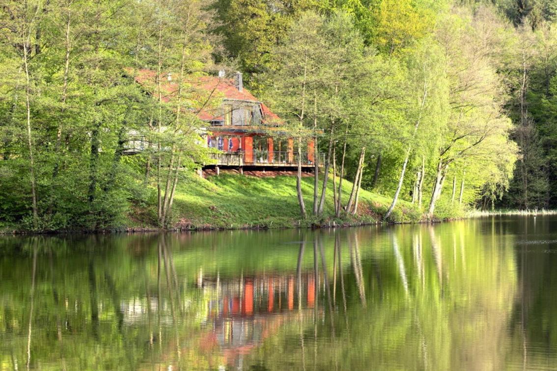 Ferienwohnungen & Campingfaesser Am Kunstteich Wettelrode Chambre photo